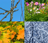 Feng Shui Naturzyklen